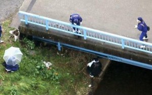 Bé Lê Thị Nhật Linh bị sát hại ở Nhật: Camera hành trình tiết lộ manh mối hung thủ